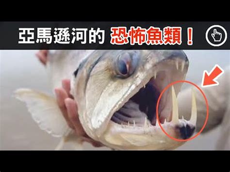 夢見食人魚